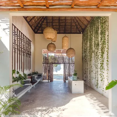 Zenses Wellness And Yoga Resort - Adults Only-3